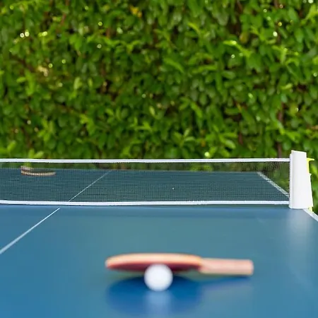 Vengo * 트로기르